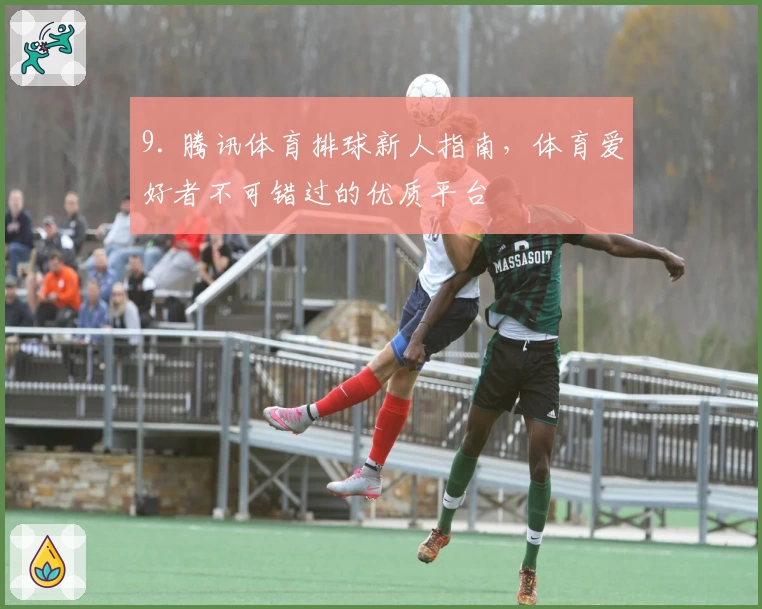 9. 腾讯体育排球新人指南，体育爱好者不可错过的优质平台